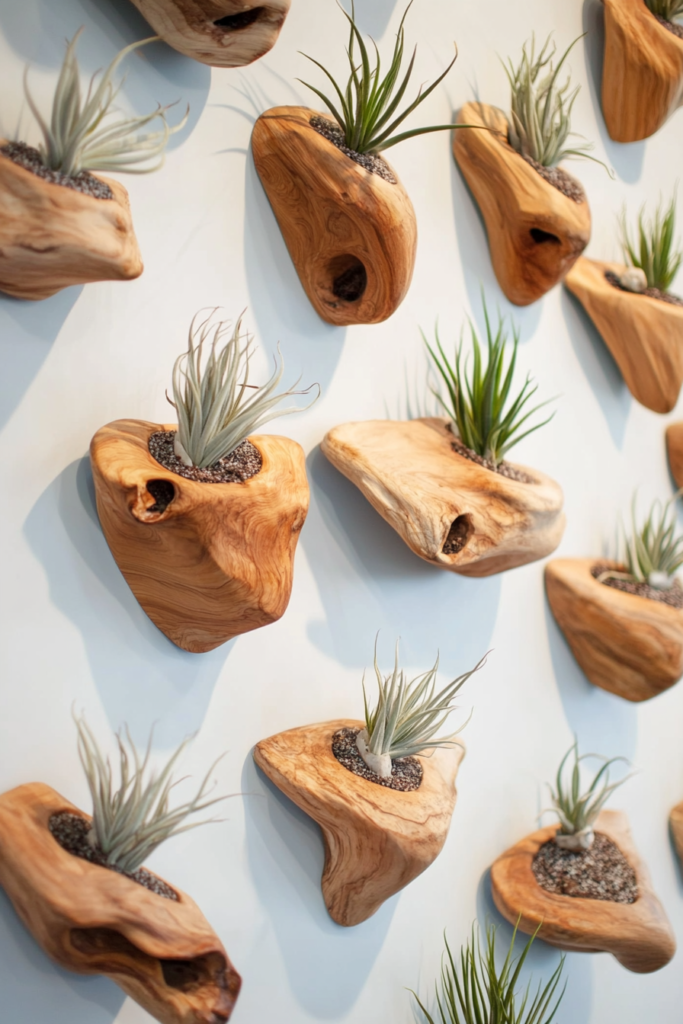20. Add Air Plants to Wall Hooks